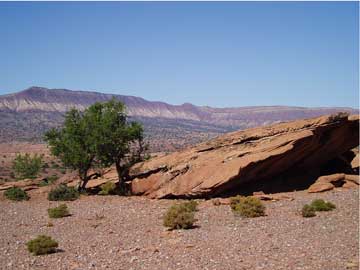 Morocco: Cross bedded triassic sandstone in foreground, Argana Valley, Morocco.