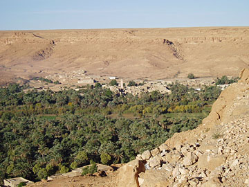 Morocco: Oasis in the Ziz vally.