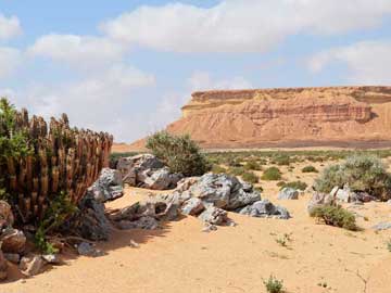 Morocco: Panoramic view of the Hameida El Gueblia section, reconnaissance fieldwork, March 2014, Tan Tan, Morocco.