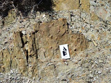 Spain: Tool marks in the Early Cretaceous turbidites succession of Fuertventura, May 2014, Ajuy, Fuerteventura, Spain.