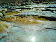 Salt crust, Sahara, march 2015.
